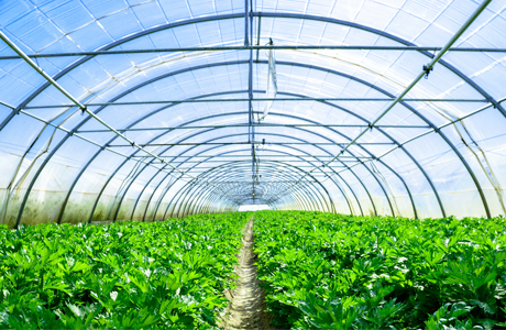 创新农业科技：空气能取暖设备如何提升大棚效益
